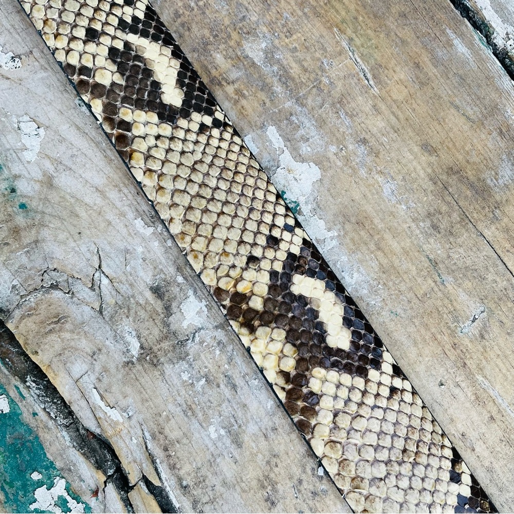 WCM Python leather Adjustable belt - Picture 12 of 16